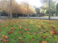 /album/galeria/a20131112-152757-1-jpg/